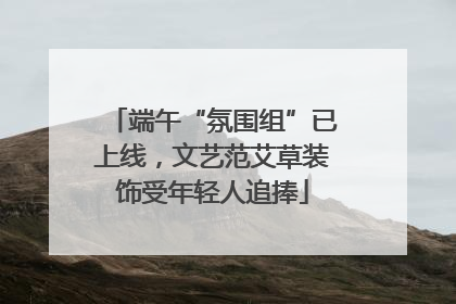 端午“氛围组”已上线，文艺范艾草装饰受年轻人追捧