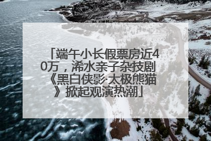 端午小长假票房近40万，浠水亲子杂技剧《黑白侠影·太极熊猫》掀起观演热潮