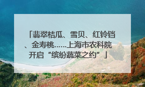 翡翠桔瓜、雪贝、红铃铛、金寿桃……上海市农科院开启“缤纷蔬菜之约”