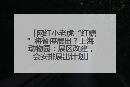 网红小老虎“红糖”将暂停展出？上海动物园：展区改建，会安排展出计划