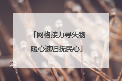 网格接力寻失物 暖心速归抚民心
