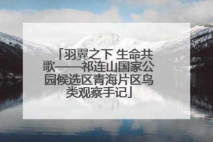 羽翼之下 生命共歌——祁连山国家公园候选区青海片区鸟类观察手记
