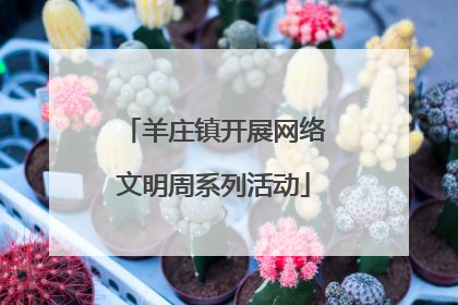 羊庄镇开展网络文明周系列活动