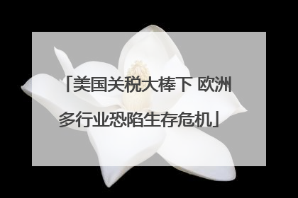 美国关税大棒下 欧洲多行业恐陷生存危机