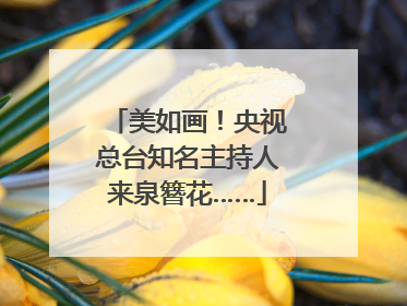 美如画！央视总台知名主持人来泉簪花……
