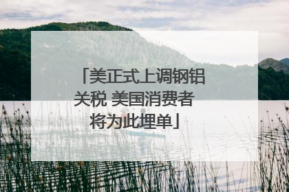 美正式上调钢铝关税 美国消费者将为此埋单