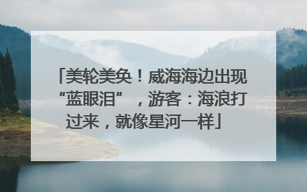 美轮美奂！威海海边出现“蓝眼泪”，游客：海浪打过来，就像星河一样