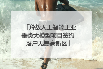 羚数人工智能工业垂类大模型项目签约落户无锡高新区