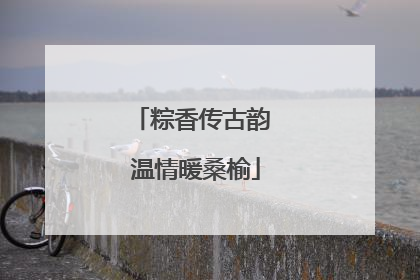 粽香传古韵 温情暖桑榆
