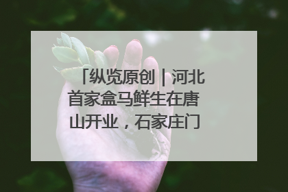 纵览原创｜河北首家盒马鲜生在唐山开业，石家庄门店预计8月开业