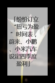 纷纷订立“扭亏为盈”时间表，蔚来、小鹏、小米汽车设定四季度盈利