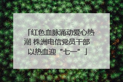 红色血脉涌动爱心热潮 株洲电信党员干部以热血迎“七一”