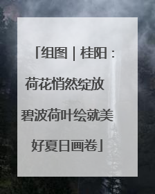 组图｜桂阳：荷花悄然绽放 碧波荷叶绘就美好夏日画卷