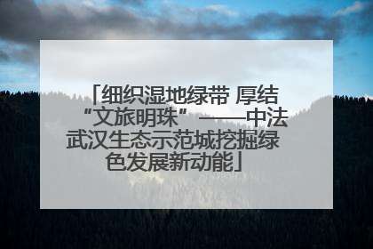 细织湿地绿带 厚结“文旅明珠”——中法武汉生态示范城挖掘绿色发展新动能