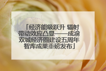 经济能级跃升 辐射带动效应凸显——成渝双城经济圈建设五周年智库成果重磅发布