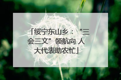 绥宁东山乡：“三会三文”领航向 人大代表助农忙