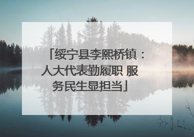 绥宁县李熙桥镇：人大代表勤履职 服务民生显担当