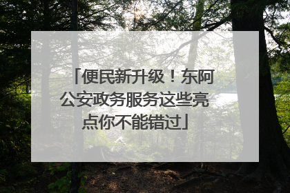 便民新升级！东阿公安政务服务这些亮点你不能错过