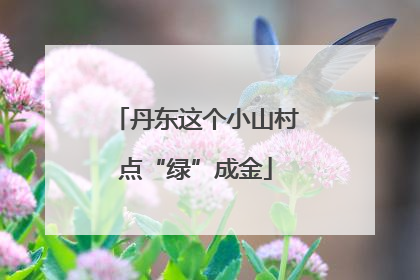 丹东这个小山村点“绿”成金