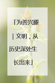 为善兴滕｜文明，从历史深处生长出来
