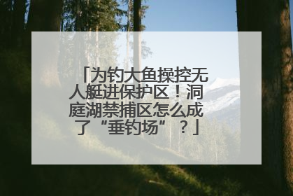 为钓大鱼操控无人艇进保护区！洞庭湖禁捕区怎么成了“垂钓场”？
