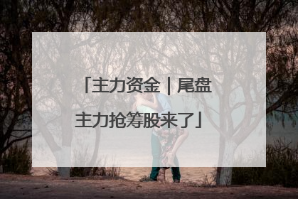 主力资金｜尾盘主力抢筹股来了