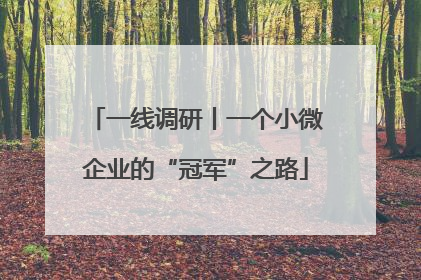 一线调研丨一个小微企业的“冠军”之路