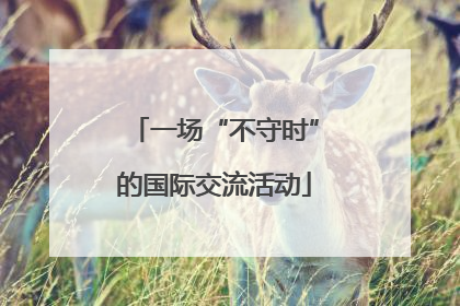 一场“不守时”的国际交流活动