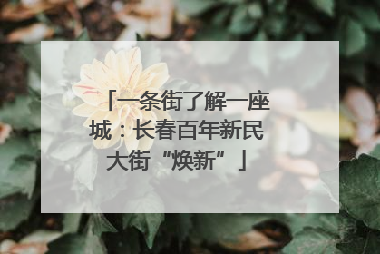 一条街了解一座城：长春百年新民大街“焕新”