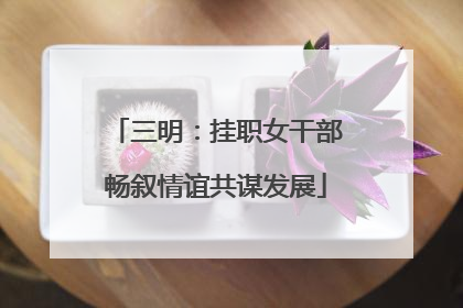 三明：挂职女干部畅叙情谊共谋发展