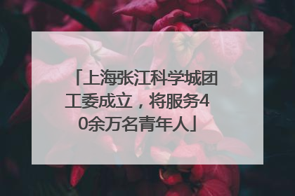 上海张江科学城团工委成立，将服务40余万名青年人