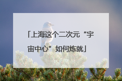 上海这个二次元“宇宙中心”如何炼就