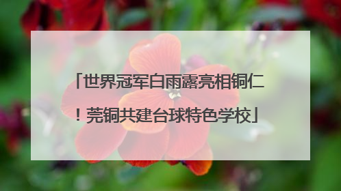 世界冠军白雨露亮相铜仁！莞铜共建台球特色学校