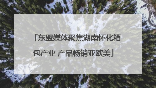 东盟媒体聚焦湖南怀化箱包产业 产品畅销亚欧美
