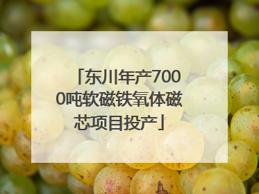 东川年产7000吨软磁铁氧体磁芯项目投产