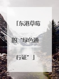 东港草莓的“绿色通行证”