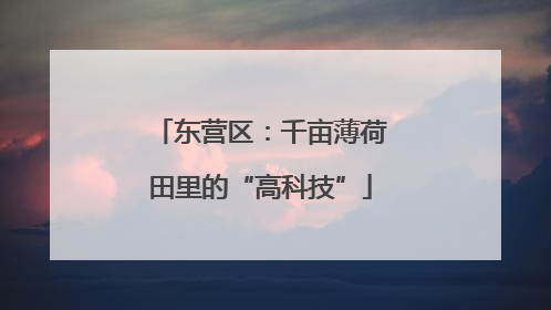 东营区：千亩薄荷田里的“高科技”