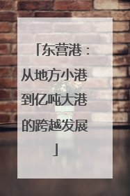 东营港：从地方小港到亿吨大港的跨越发展