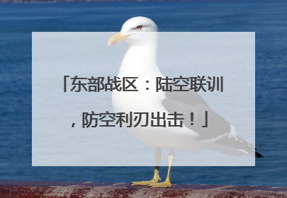 东部战区：陆空联训，防空利刃出击！