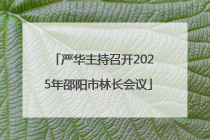 严华主持召开2025年邵阳市林长会议