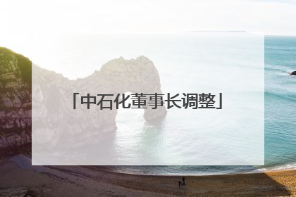 中石化董事长调整