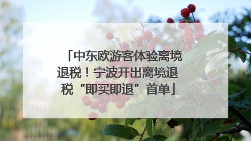 中东欧游客体验离境退税！宁波开出离境退税“即买即退”首单