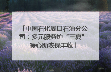 中国石化周口石油分公司：多元服务护“三夏” 暖心助农保丰收