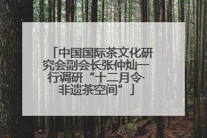 中国国际茶文化研究会副会长张仲灿一行调研“十二月令·非遗茶空间”