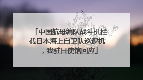 中国航母编队战斗机拦截日本海上自卫队巡逻机，我驻日使馆回应