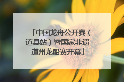 中国龙舟公开赛（道县站）暨国家非遗道州龙船赛开幕