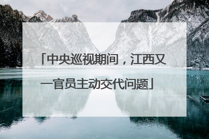 中央巡视期间，江西又一官员主动交代问题