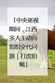 中央巡视期间，江西多人主动向组织交代问题｜打虎拍蝇
