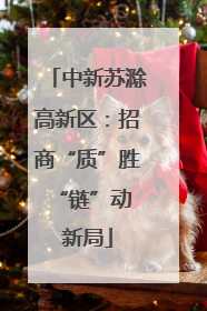 中新苏滁高新区：招商“质”胜 “链”动新局
