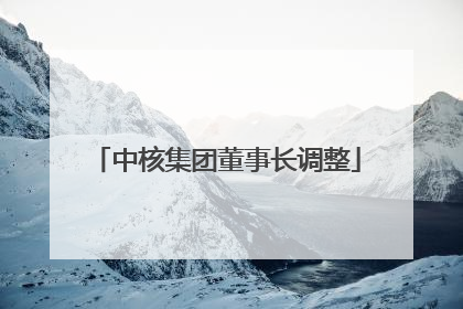 中核集团董事长调整